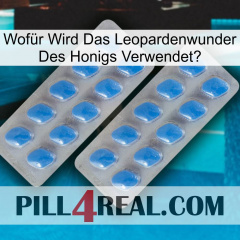 Wofür Wird Das Leopardenwunder Des Honigs Verwendet 23